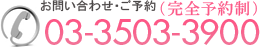 03-3503-3900